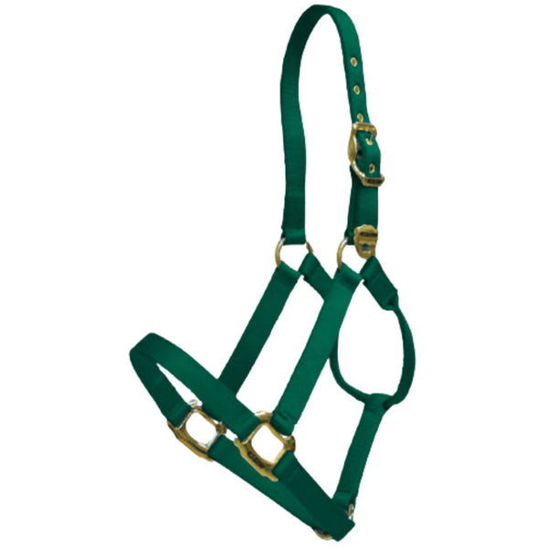 Lami-Cell Nylon Cob Halter, Hunter Green