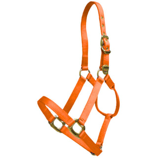 Lami-Cell Nylon Horse Halter, Hot Orange