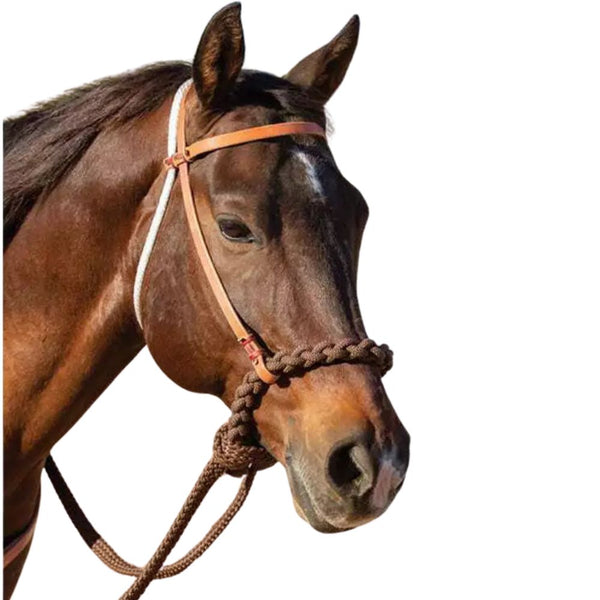 Professional's Choice Loping Hackamore