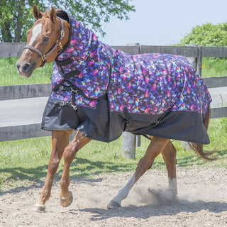 Canadian Horsewear Maxim Winter Turnout with Removable Neck, Dreamcoat Diablo