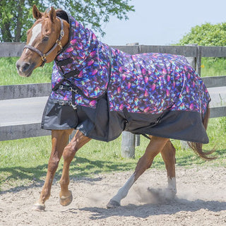 Canadian Horsewear Storm Insulated Rainsheet with Removable Neck, Dreamcoat Diablo, 78"