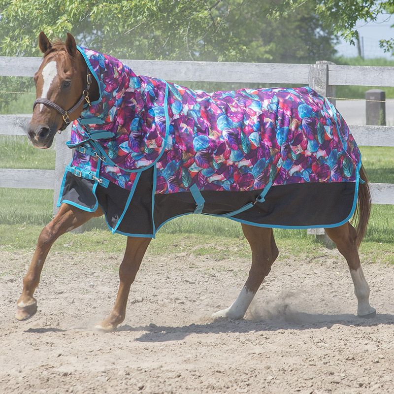 Canadian Horsewear Storm Insulated Rainsheet with Removable Neck, Turq