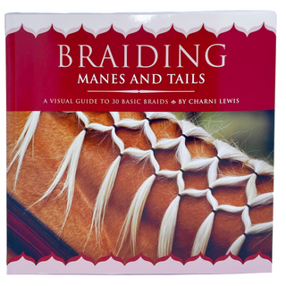 Braiding Manes and Tails by Charni Lewis