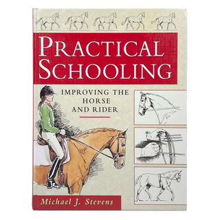 Practical Schooling by Michael J. Stevens