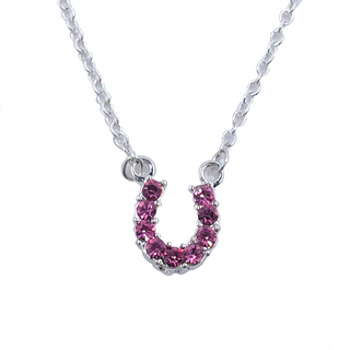 Horseshoe Necklace, Pink