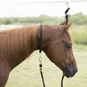 Mustang Neck Collar