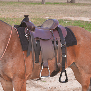 Cashel Step-Up Stirrup